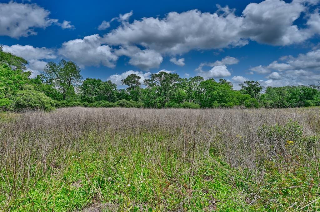 0000 Scranton Grove, Bellville, Texas image 8