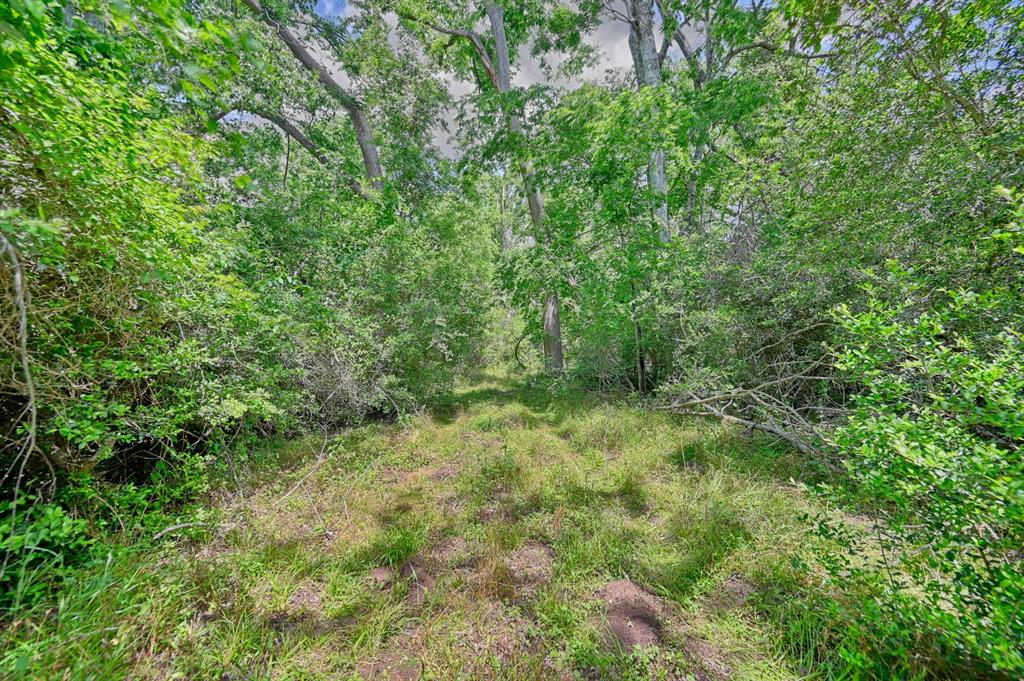 0000 Scranton Grove, Bellville, Texas image 10