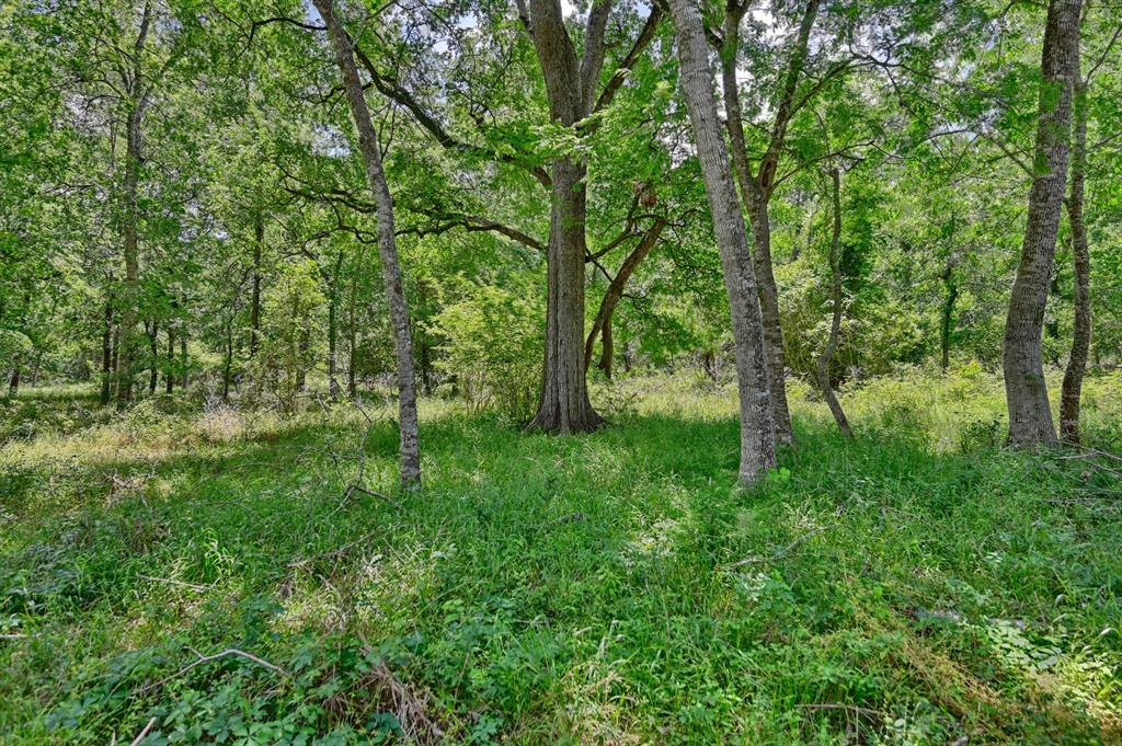 0000 Scranton Grove, Bellville, Texas image 14