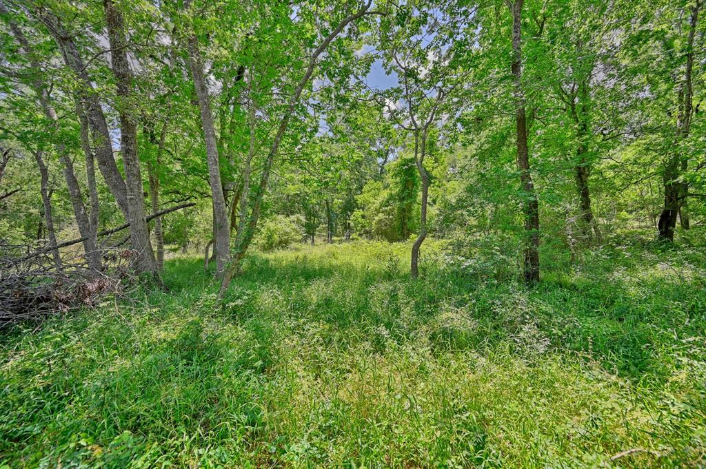 0000 Scranton Grove, Bellville, Texas image 12