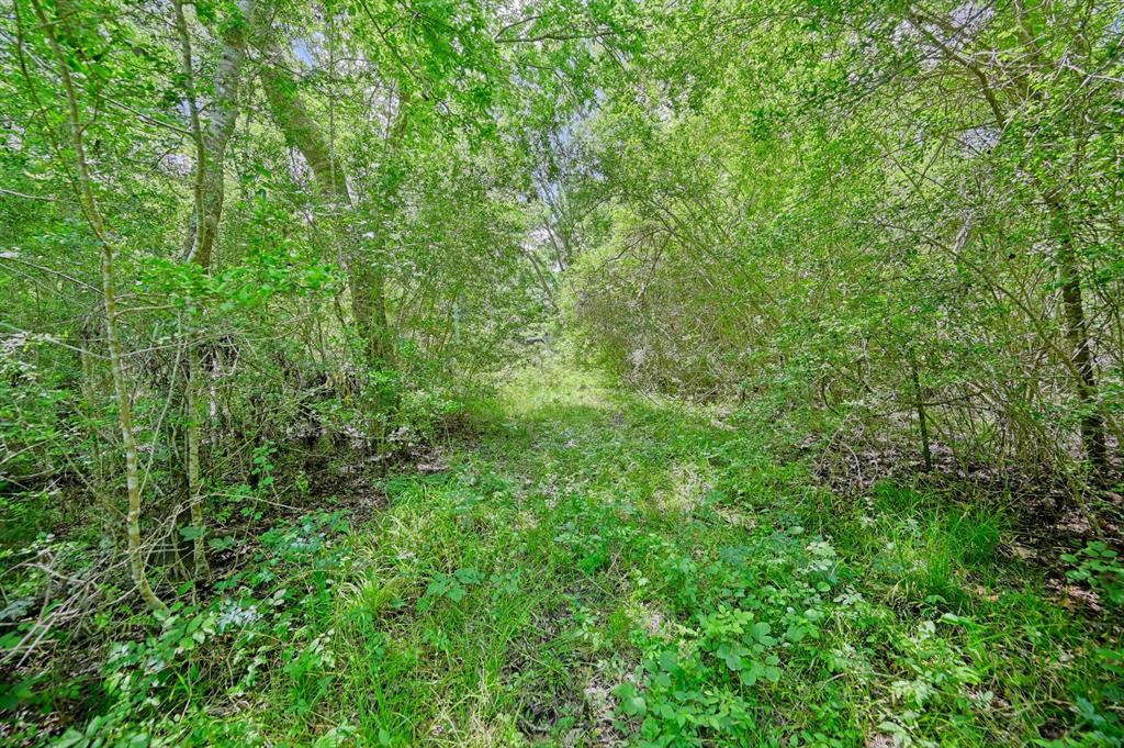 0000 Scranton Grove, Bellville, Texas image 11