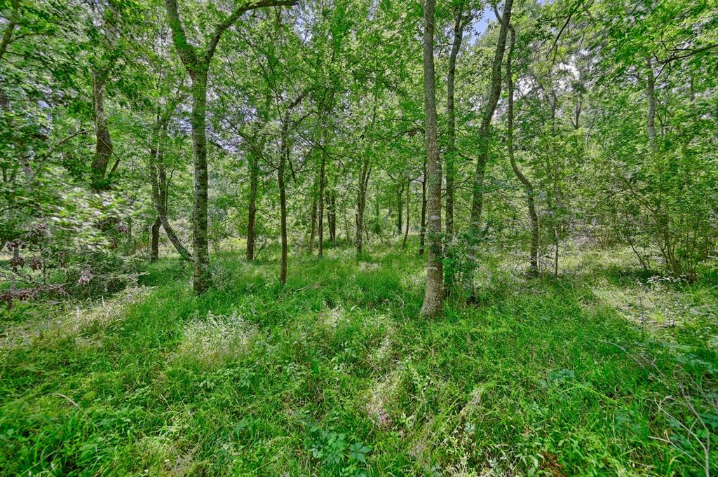 0000 Scranton Grove, Bellville, Texas image 13