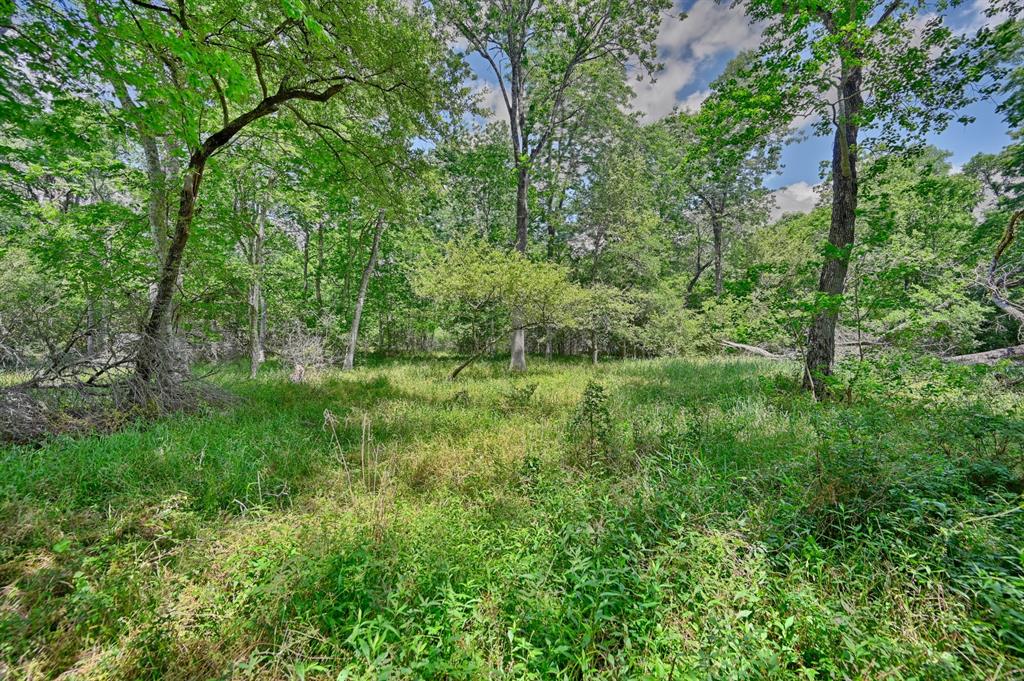 0000 Scranton Grove, Bellville, Texas image 15