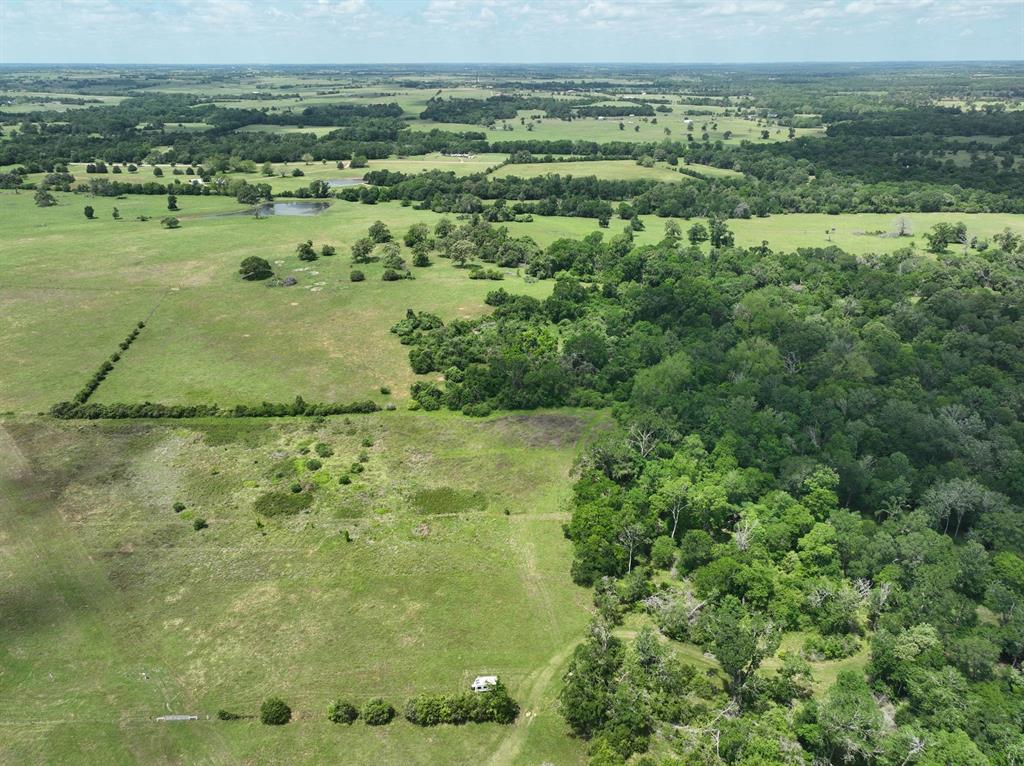 0000 Scranton Grove, Bellville, Texas image 3