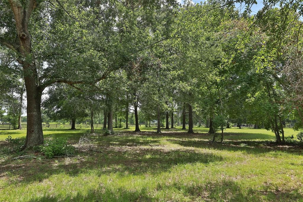 Hufsmith Cemetery Road, Tomball, Texas image 3