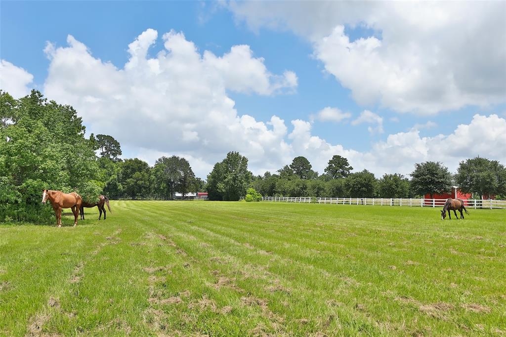 Hufsmith Cemetery Road, Tomball, Texas image 12