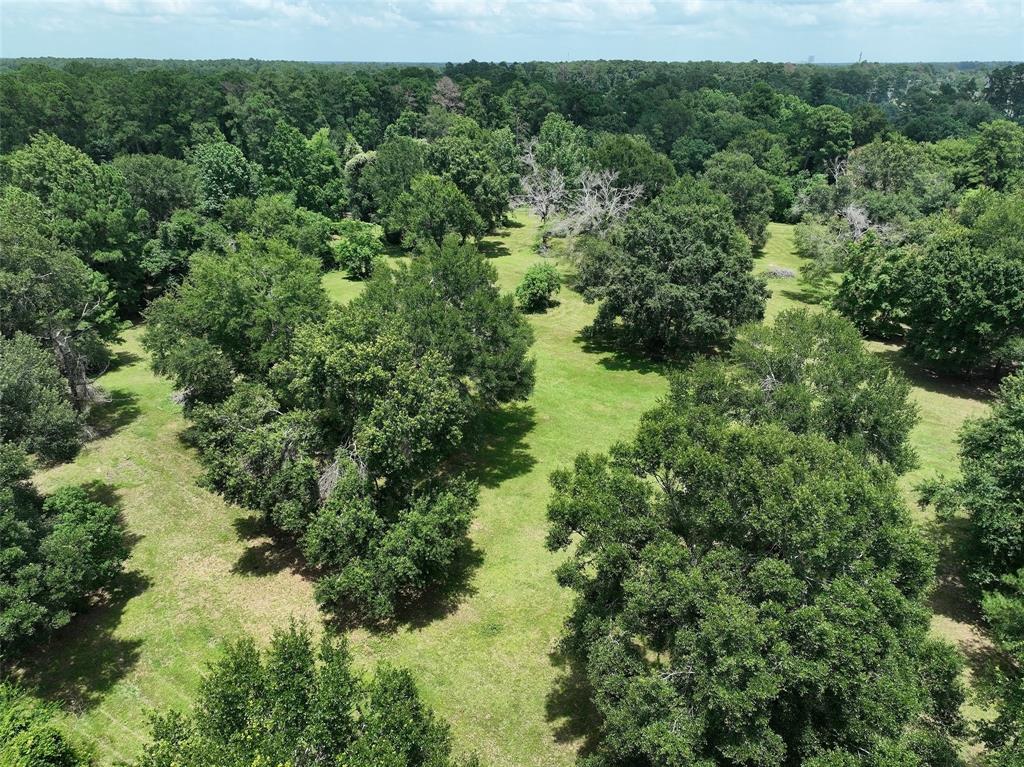 Hufsmith Cemetery Road, Tomball, Texas image 19