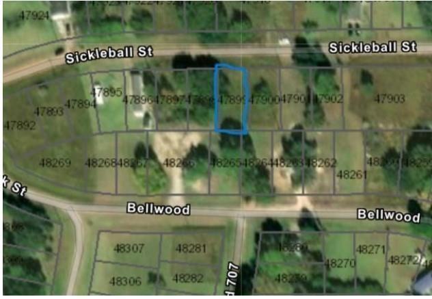 Lot 1033 Sickleball Street, Palacios, Texas image 1