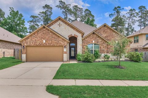 12276 Emerald Mist Lane Conroe TX 77304