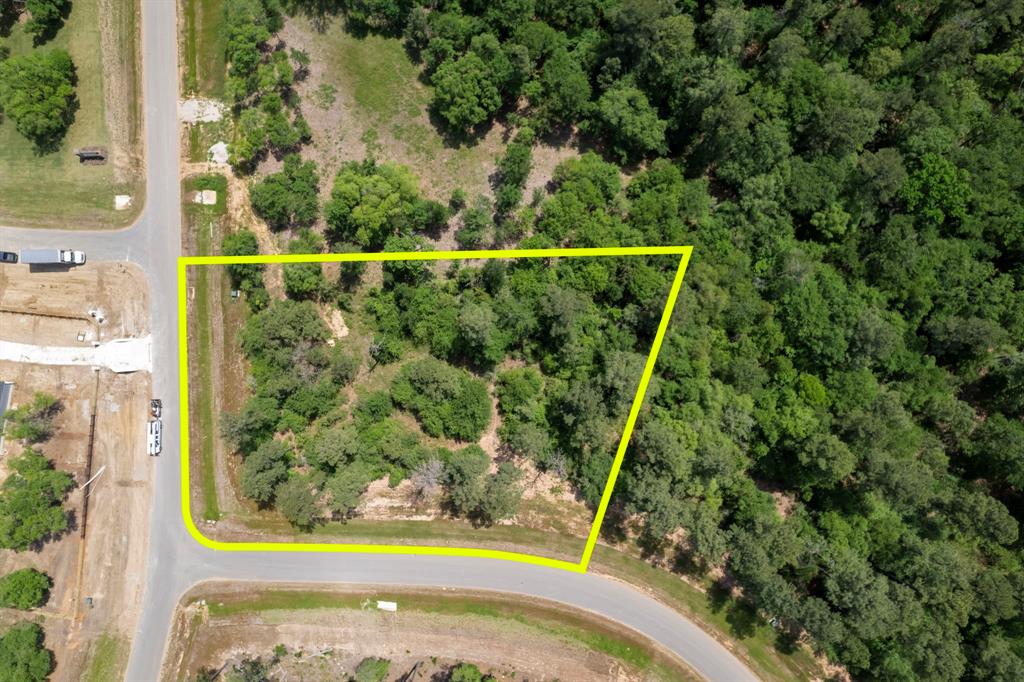 9546 Cedar Bend Bnd, Plantersville, Texas image 2