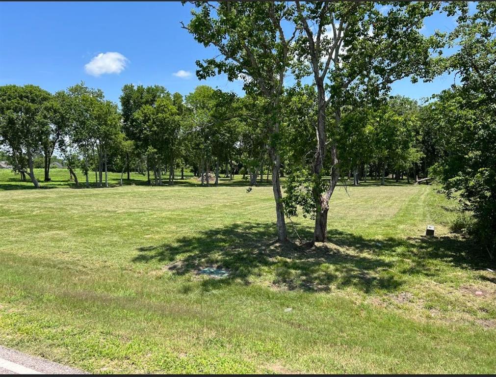 22911 Sugar Mill Court, Angleton, Texas image 1
