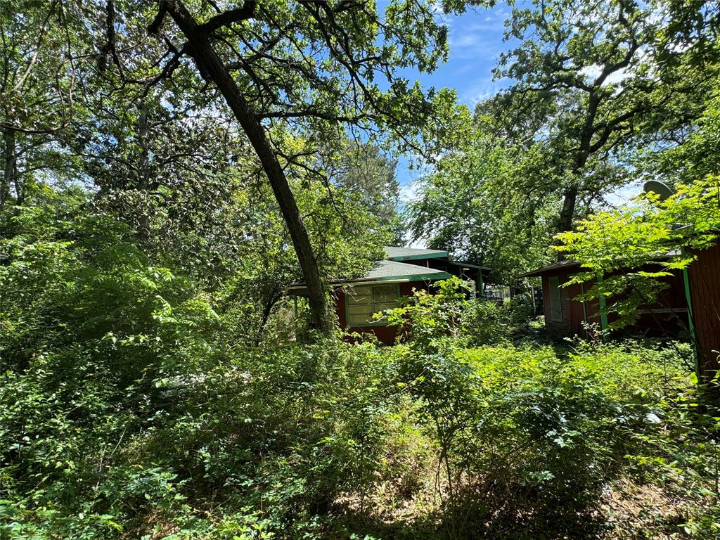 24532 Tyrone St, Hempstead, Texas image 12