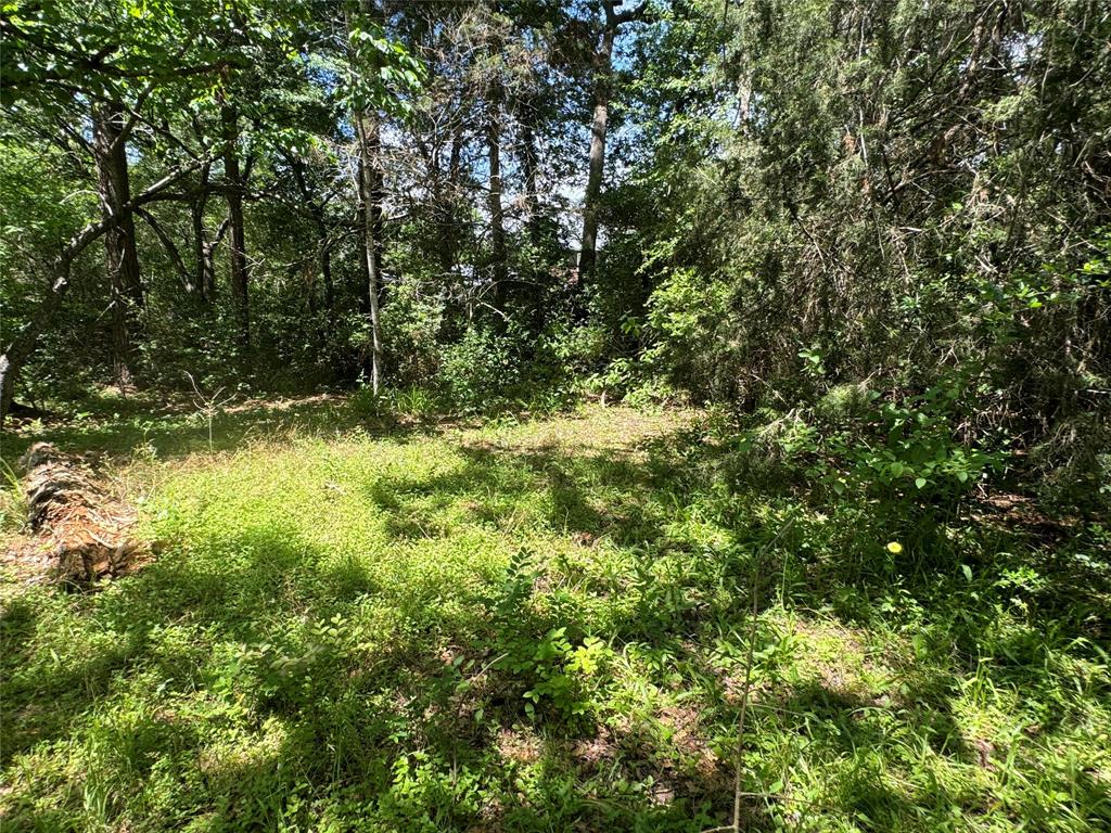 24532 Tyrone St, Hempstead, Texas image 10