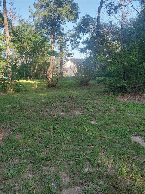 24532 Tyrone St, Hempstead, Texas image 22