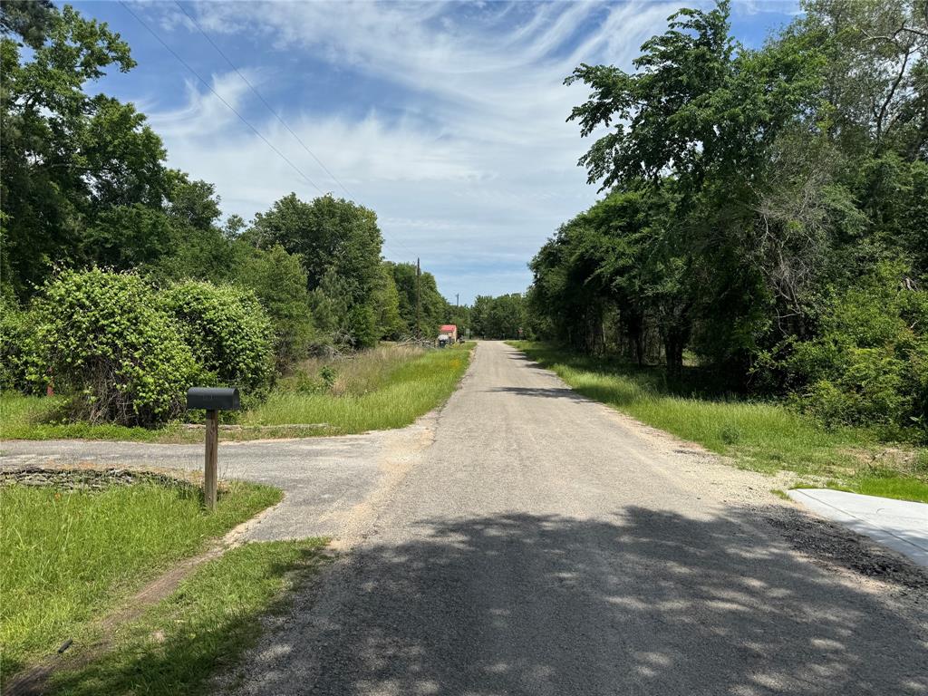 24532 Tyrone St, Hempstead, Texas image 2
