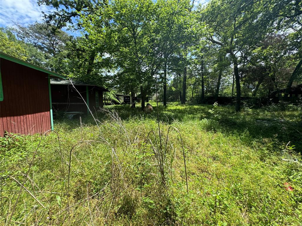 24532 Tyrone St, Hempstead, Texas image 8