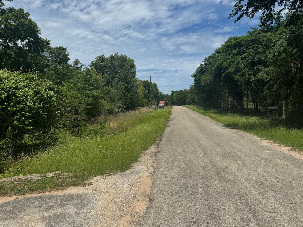 24532 Tyrone St, Hempstead, Texas image 15