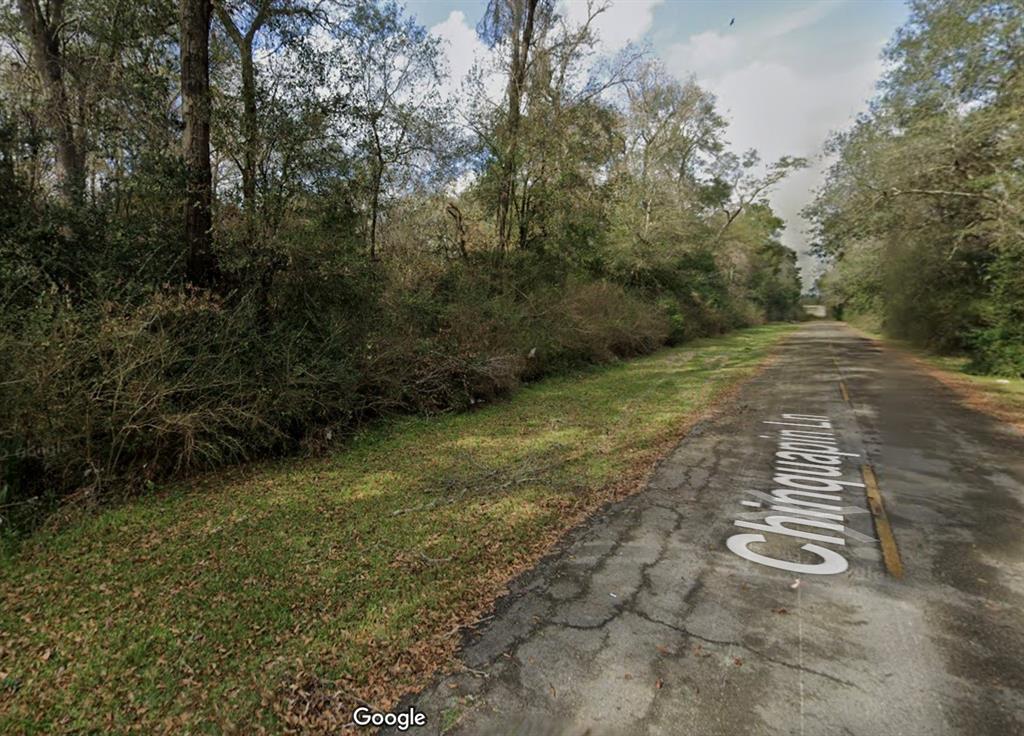 Chinquapin Lane, New Caney, Texas image 1