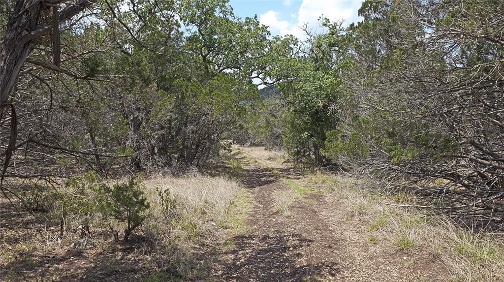 Lot 129 Spring Country Ranch Road, Leakey, Texas image 11