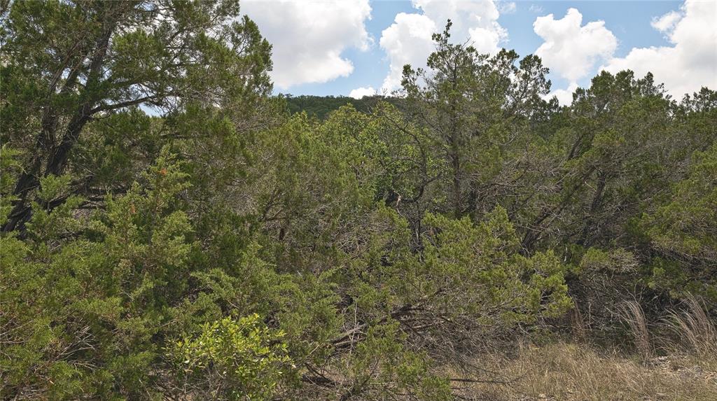 Lot 129 Spring Country Ranch Road, Leakey, Texas image 14