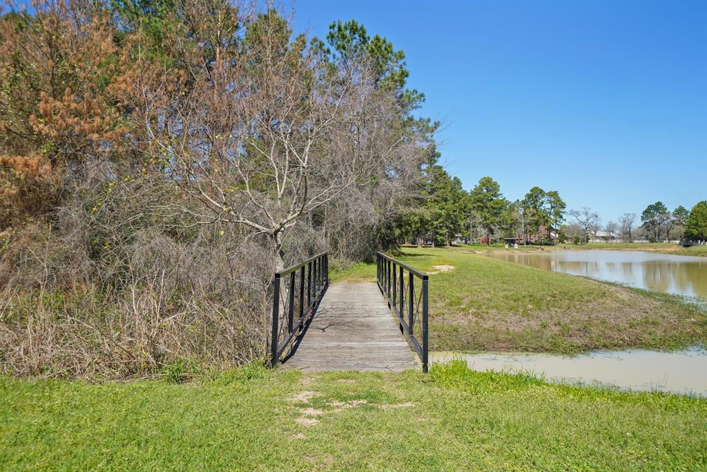 33922 High Point Drive, Magnolia, Texas image 44