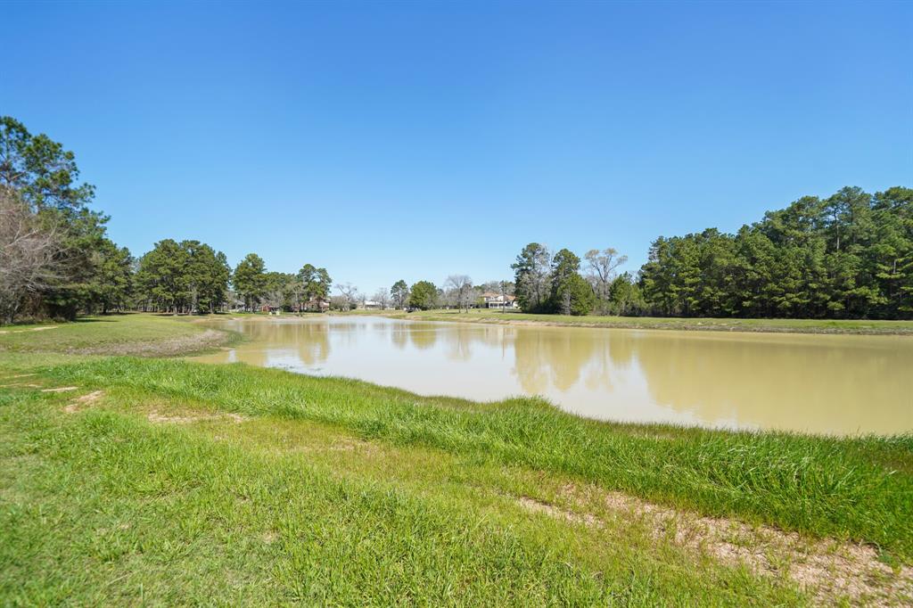 33922 High Point Drive, Magnolia, Texas image 43
