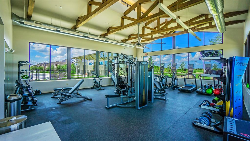 10715 Starry Farm Way, Richmond, Texas image 24
