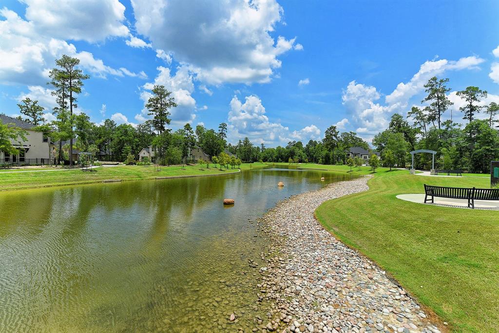 17786 Tree Of Heaven, Conroe, Texas image 42