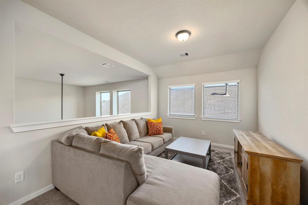 17786 Tree Of Heaven, Conroe, Texas image 23