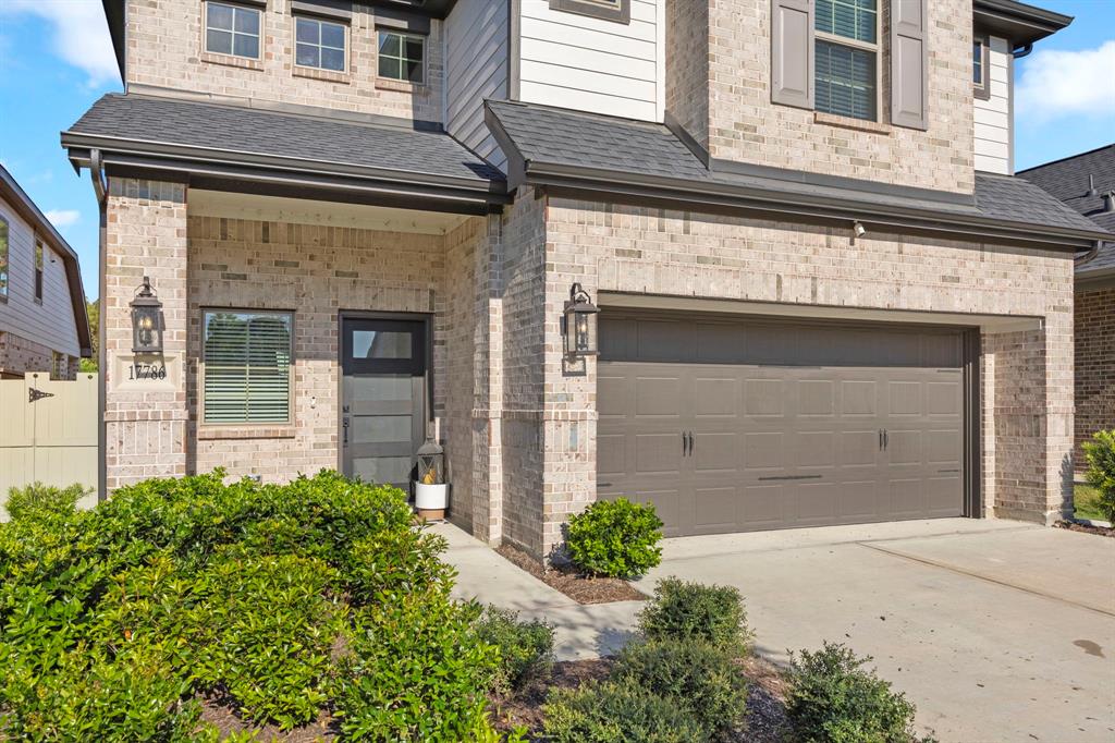 17786 Tree Of Heaven, Conroe, Texas image 3