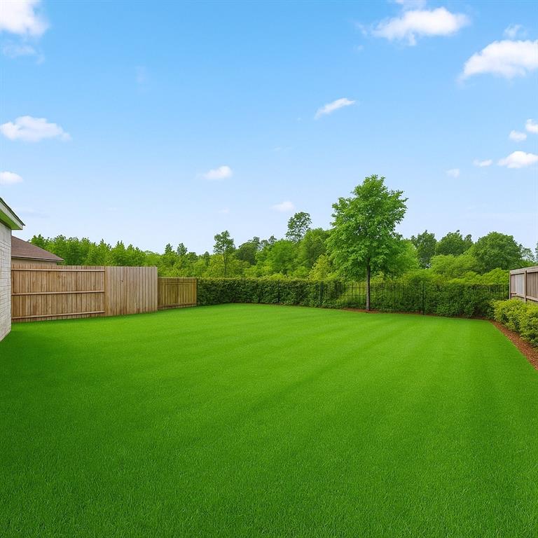 17786 Tree Of Heaven, Conroe, Texas image 1