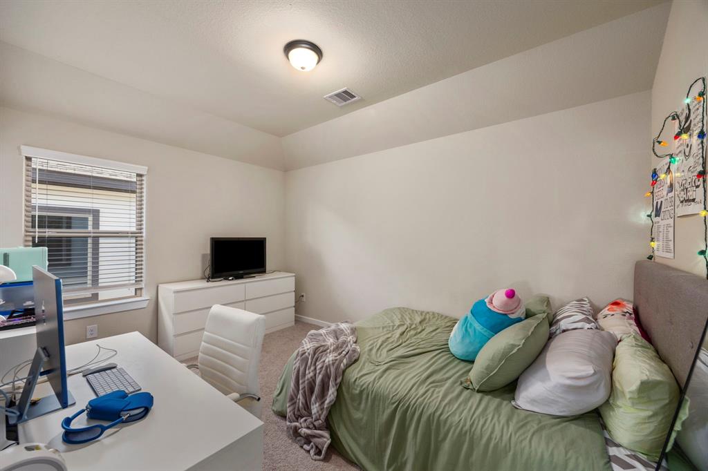 17786 Tree Of Heaven, Conroe, Texas image 20
