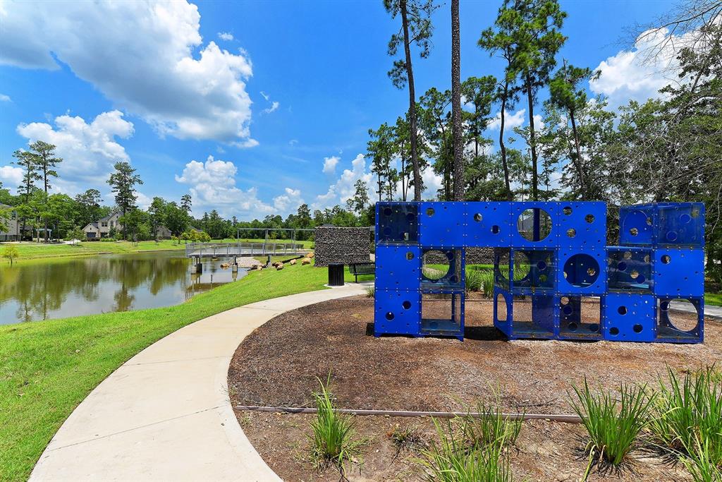 17786 Tree Of Heaven, Conroe, Texas image 43