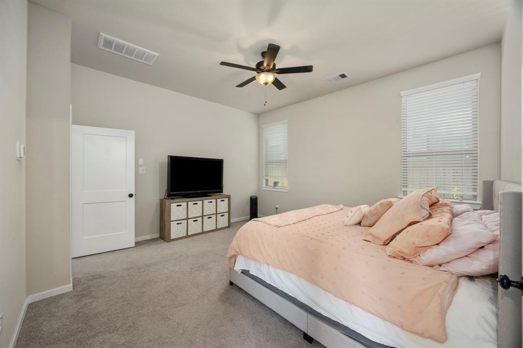 17786 Tree Of Heaven, Conroe, Texas image 17