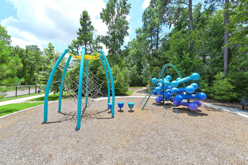 17786 Tree Of Heaven, Conroe, Texas image 44