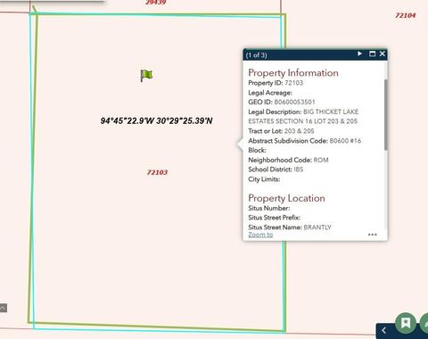 Photo of 203 Brantly Drive, Livingston, TX 77351 (MLS # 2332762) Photo of 203 Brantly Drive, Livingston, TX 77351 (MLS # 2332762)