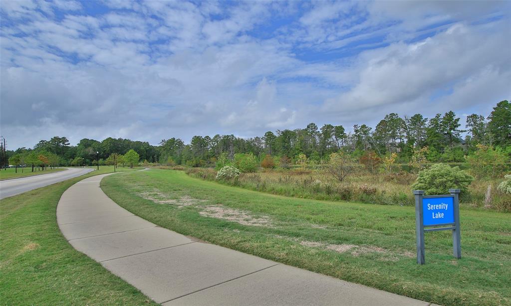 28242 Wooded Mist Drive, Spring, Texas image 48