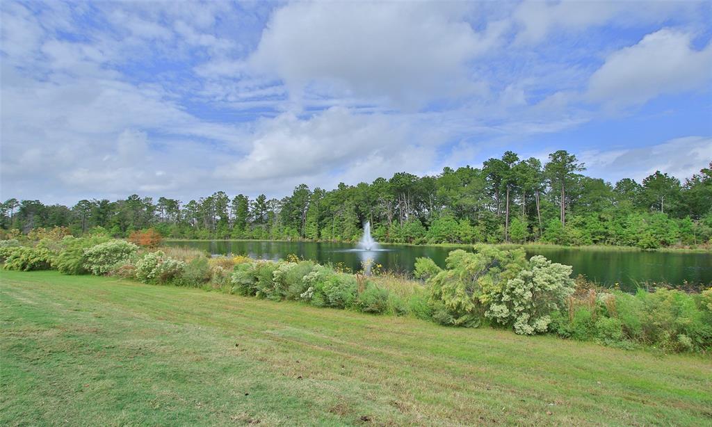 28242 Wooded Mist Drive, Spring, Texas image 47