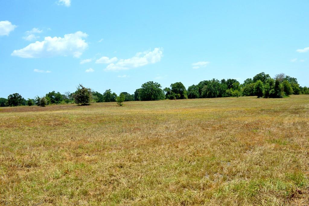 TBD 155 Fm 1227, Navasota, Texas image 29