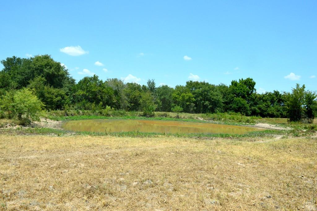 TBD 155 Fm 1227, Navasota, Texas image 14