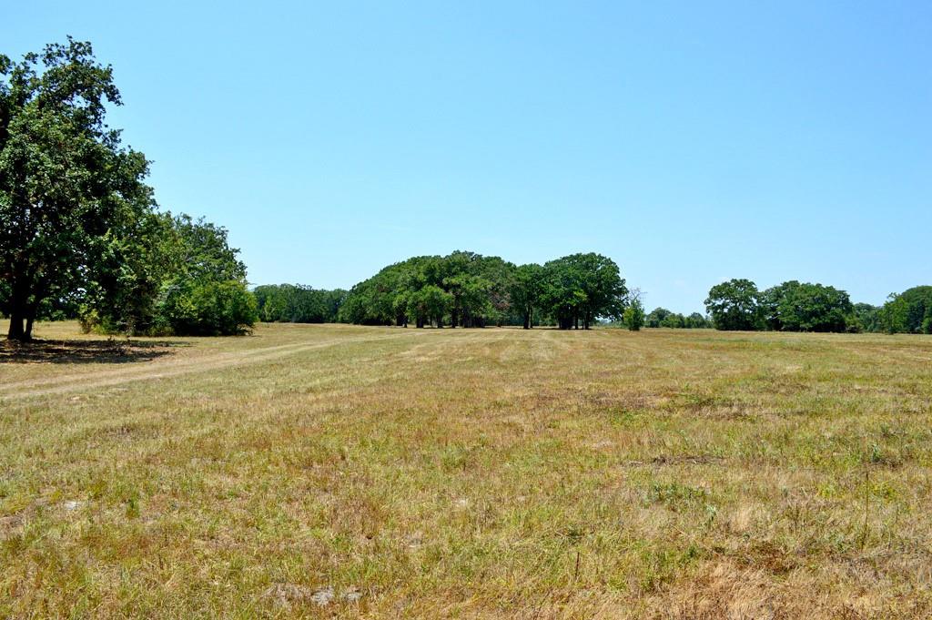 TBD 155 Fm 1227, Navasota, Texas image 9