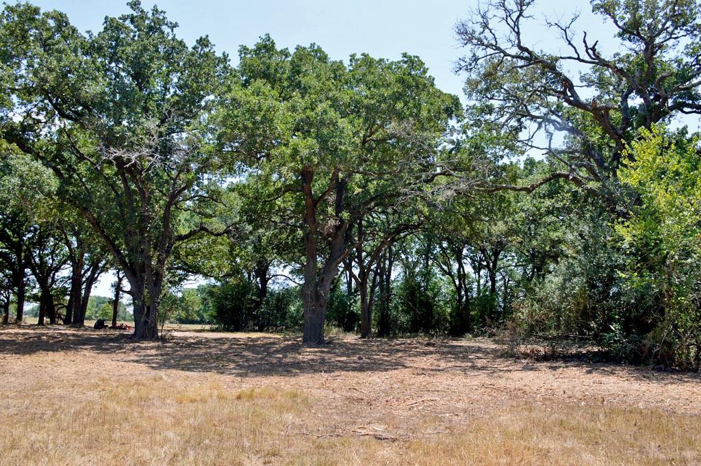 TBD 155 Fm 1227, Navasota, Texas image 19