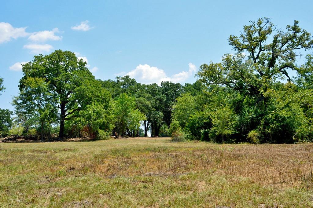 TBD 155 Fm 1227, Navasota, Texas image 25