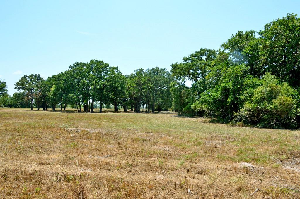 TBD 155 Fm 1227, Navasota, Texas image 11