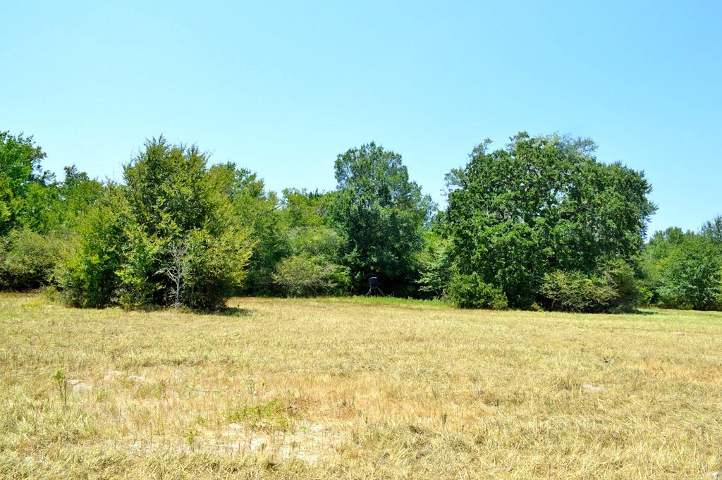 TBD 155 Fm 1227, Navasota, Texas image 20