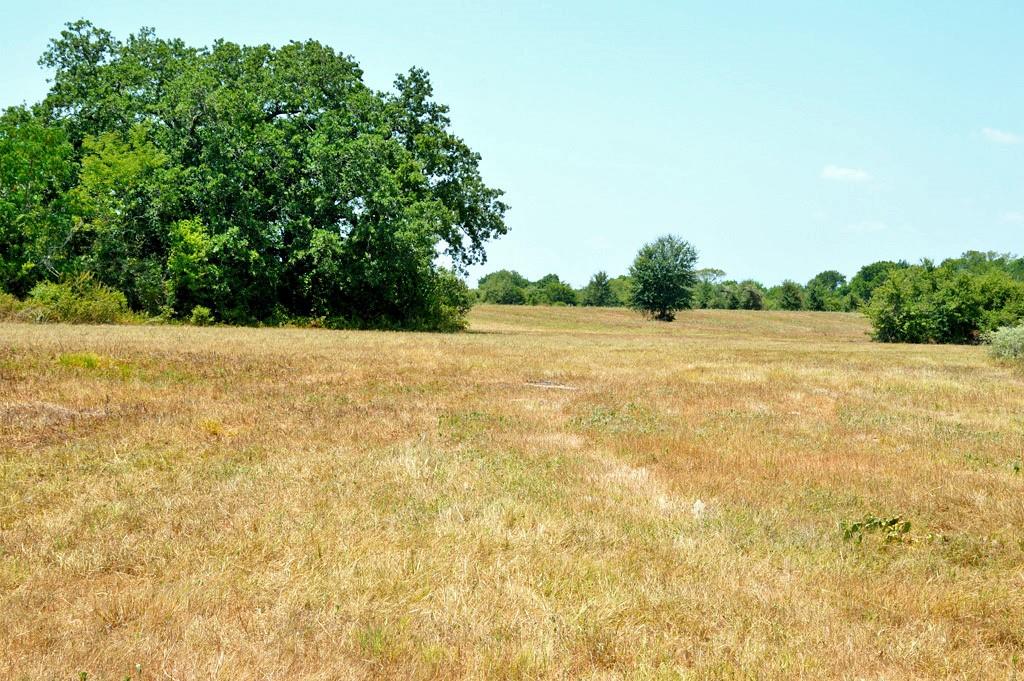 TBD 155 Fm 1227, Navasota, Texas image 28