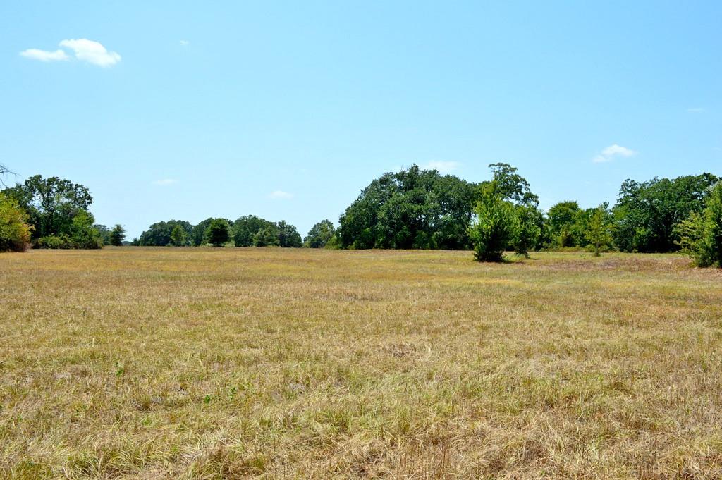 TBD 155 Fm 1227, Navasota, Texas image 27