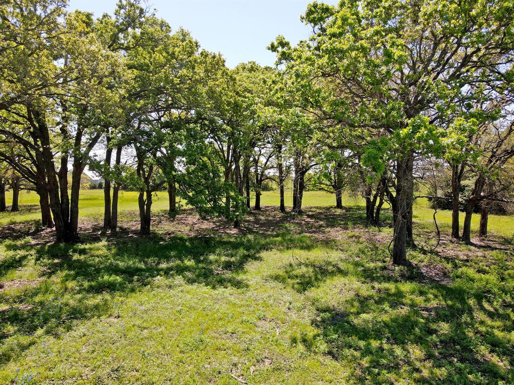 TBD 155 Fm 1227, Navasota, Texas image 1