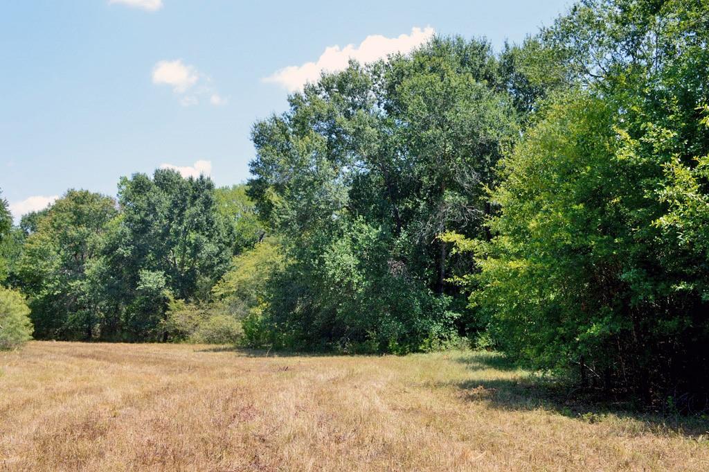 TBD 155 Fm 1227, Navasota, Texas image 23
