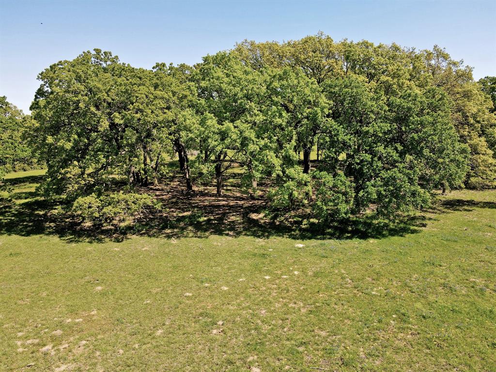 TBD 155 Fm 1227, Navasota, Texas image 33